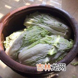 酸菜不酸可以二次发酵吗,腌酸菜34天了拿出来送别人他还可以继续发酵吗？