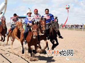 那达慕节是哪个民族的节日啊,那达慕大会是哪个民族的节日？