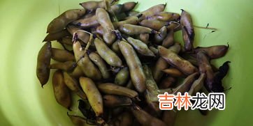 水煮蚕豆会发胖吗,蚕豆热量高不高 吃蚕豆会胖吗