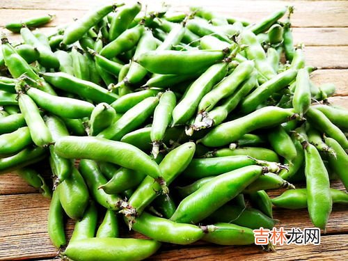 水煮蚕豆会发胖吗,蚕豆热量高不高 吃蚕豆会胖吗