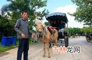 茶马古道的起点和终点,茶马古道从什么地方开始、经过哪些地方、最后到达哪个国家？