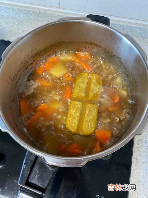 咖喱牛肉做法,咖喱牛肉最正宗的做法