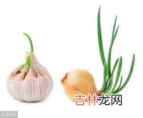 麦豆发芽了可以吃吗,麦豆发芽了还能吃吗?