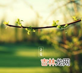 立夏是什么意思,立夏的含义是什么意思 立夏是夏天来了的意思吗