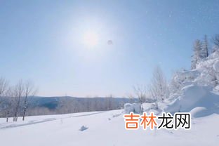 冰爪是什么,行走冰爪,带阻雪板和不带阻雪板的区别是什么