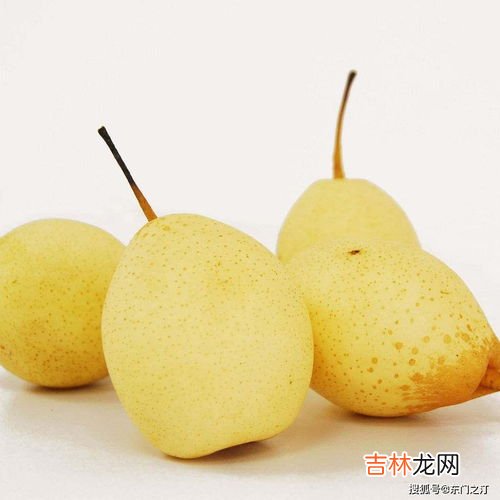 川贝粉和梨一起煮多久,川贝炖雪梨要炖多久呢?