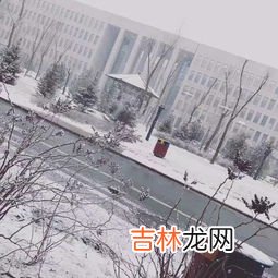 下雪什么程度封高速,下雪会封高速吗