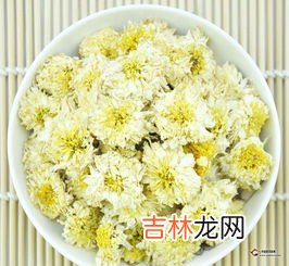 昆仑胎菊的功效与作用及禁忌,胎菊花茶的功效与作用及禁忌