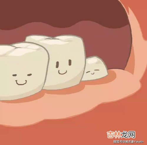 每个人都会长智齿吗,人的智齿什么时候才会长?是每个人都会长么?