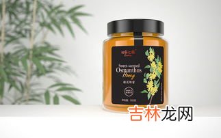 进口蜂蜜品牌排行榜,伊朗哪个牌子的蜂蜜好