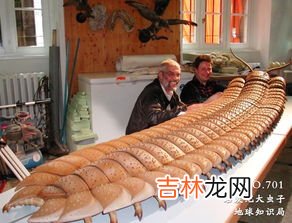 蜈蚣的生活环境和特点,蜈蚣的生活环境和特点