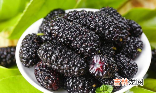 桑葚水在衣服上怎么洗,怎样洗掉衣服上的桑葚汁