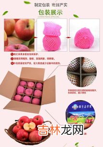 打箱20斤水果能带上飞机吗,坐飞机能带水果嘛 成箱水果可以带上飞机吗