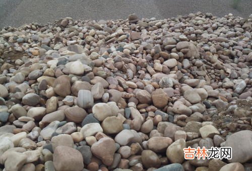 哪些花盆里能放石子,花盆里能放工地上的沙和石子吗?