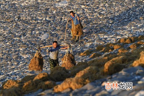 宣纸为什么有纸寿千年之誉,“纸寿千年”指的是什么？