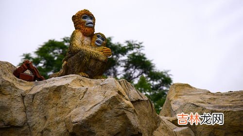 玉女峰海拔多少米,瑞士雪山 玉女峰 高度