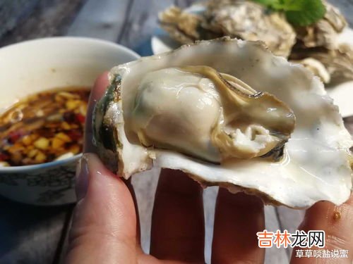 生蚝处理,怎么处理生蚝