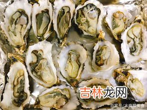 生蚝处理,怎么处理生蚝