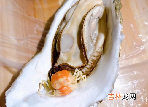 蟹宝是什么东西,日料店蟹宝用的什么酱