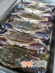 蟹宝是什么东西,日料店蟹宝用的什么酱