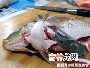 鱼腥线有几根两侧各一根吗,鱼腥线是一根还是两根？