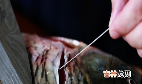 鱼腥线有几根两侧各一根吗,鱼腥线是一根还是两根？