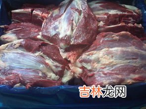 生牛肉可以冷冻保存吗,新鲜牛肉怎么冷冻保存