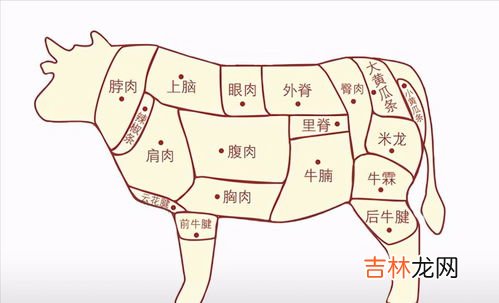 肉青是哪个部位,肉青是哪个部位