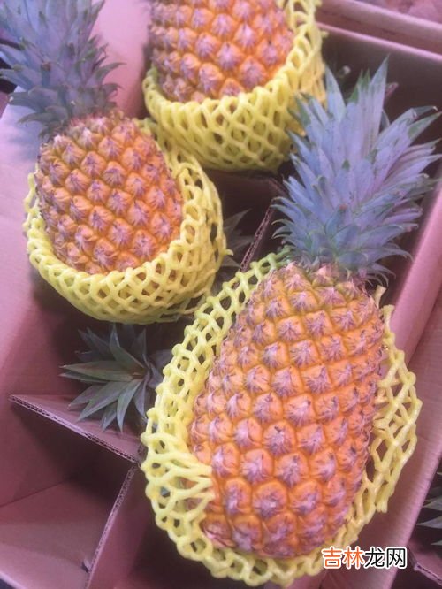 水菠萝和菠萝的区别,菠萝和凤梨的区别是什么?