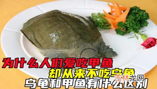 甲鱼适合什么人群吃,甲鱼真的有补肾的作用吗?男性吃甲鱼比较好还是女性好呢?