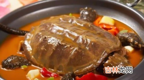 甲鱼适合什么人群吃,甲鱼真的有补肾的作用吗?男性吃甲鱼比较好还是女性好呢?