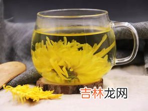 金银菊花茶有什么好处,金银花和菊花泡水喝有什么好处