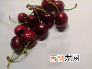 果皮果核属于什么垃圾分类,果核属于哪类垃圾 果核是干垃圾吗