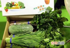 韭菜属于发物吗,韭菜是发物吗?