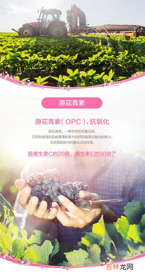 好大豆异黄酮软胶囊好吗,大豆异黄酮软胶囊作用