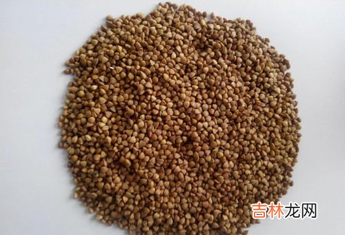 荞麦的营养价值,荞麦有什么营养?最适合什么人吃?