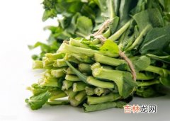 油菜和青菜有什么区别,到底油菜和青菜有什么区别啊？