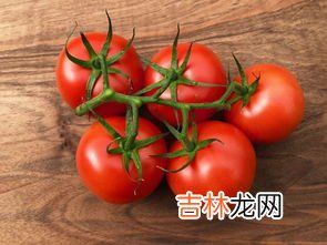番茄红素怎么吃吸收好,吃西红柿如何提高番茄红素的吸收率？生吃还是熟吃好？