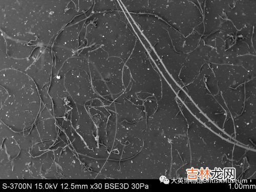 灰尘的主要成分是什么,灰尘的化学成分有哪些 是什么的混合物 稍微说几个
