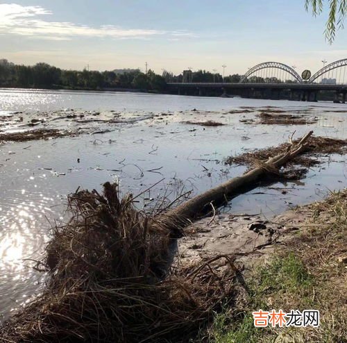 为什么每年都有洪水,为何去年水灾频繁，水灾到底是因为什么原因引起的？