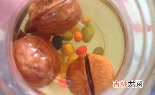 核桃是晾干还是晒干,核桃是烘干还是晒干好呢?