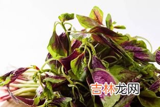 经期吃苋菜会不会止血,月经期间可以吃汉菜吗？来月经可以吃汉菜吗？