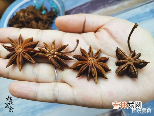假八角叫什么,怎样区分真假八角？…