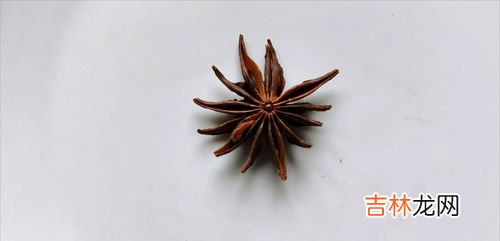 假八角叫什么,怎样区分真假八角？…