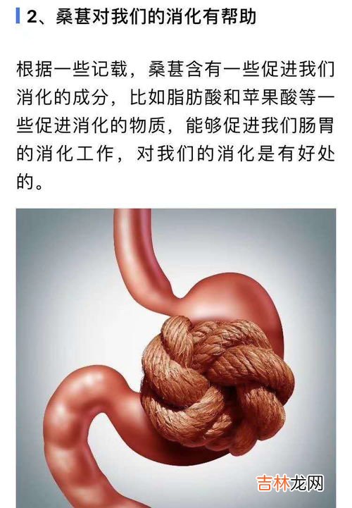 桑葚草本膏功效,桑葚膏的功效与作用