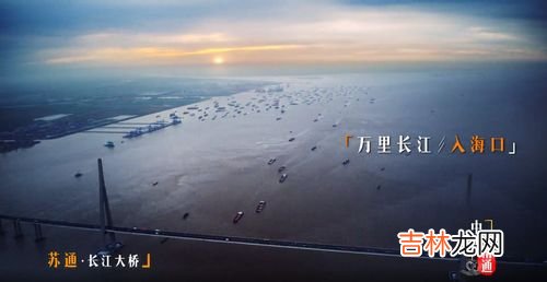 鲥鱼是淡水鱼还是海水鱼,鲥鱼属于海鲜吗？