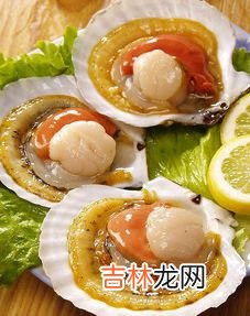 海鲜贝壳类一般蒸几分钟,海蛎子蒸多长时间？牢记清蒸3步，蒸出来又鲜又嫩，很实用