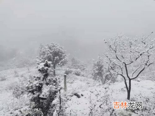 雨夹雪会有积雪吗,杭州主城区下雪，这次会有明显积雪吗？