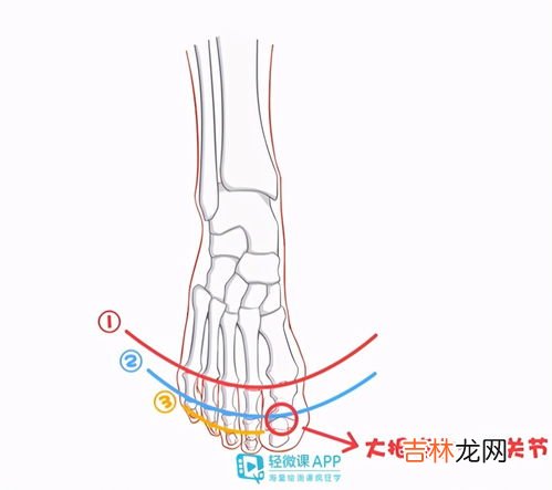 脚怎么画,如何画人的脚丫