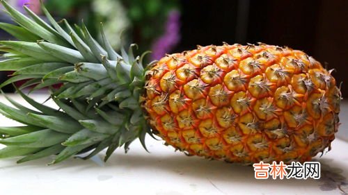 菠萝怎样保存时间长,菠萝怎么保存